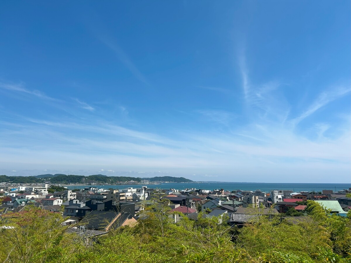 1年が半分終わった!日々の癒しを求めた鎌倉散歩Day。